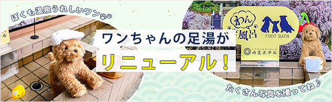 ワンちゃんの足湯がリニューアル